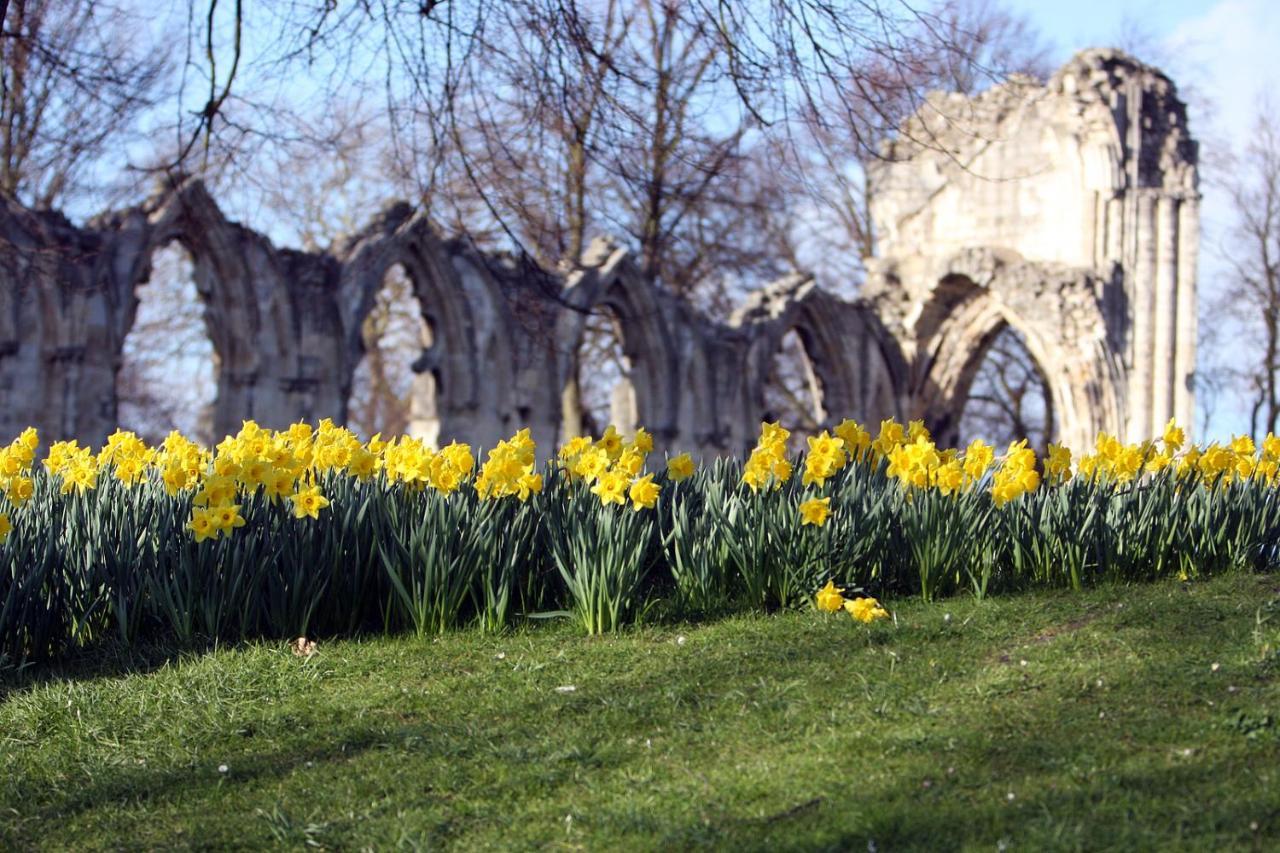 Avondale Affittacamere York